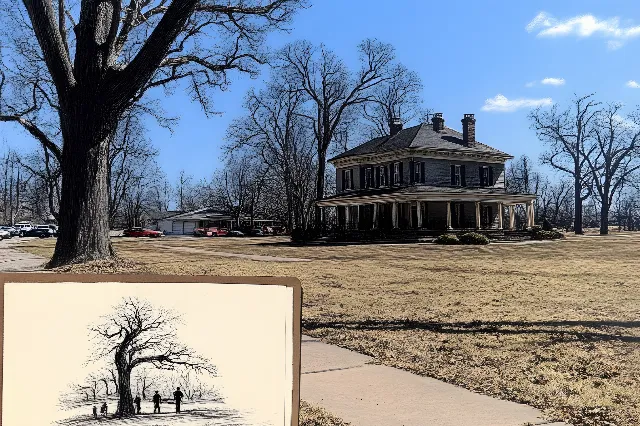 Tree, Estate, Mansion, Farmhouse, Historic house, Outdoor Structure