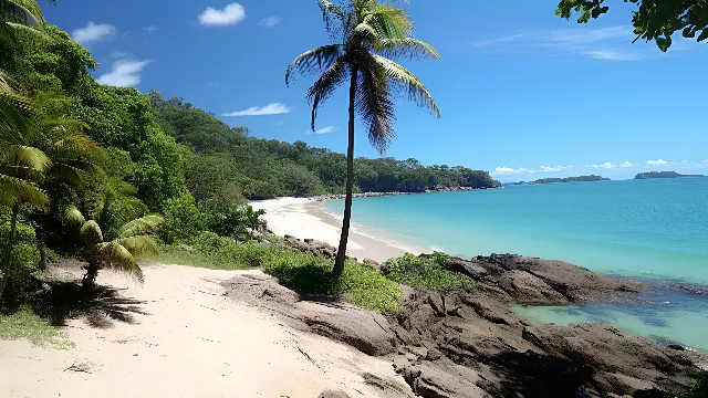 Sky, Water, Cloud, Plant, Water resources, Natural landscape, Tree, Azure, Vegetation, Coastal and oceanic landforms, Arecales, Beach, Sunlight, Terrestrial plant, Landscape, Bank, Woody plant, Horizon, Morning, Wind wave