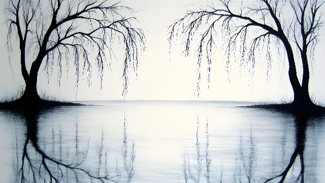 Liquid, Reflection, Black and white, Twig, Modern art, Bayou, Lake District, Wetland, Willow