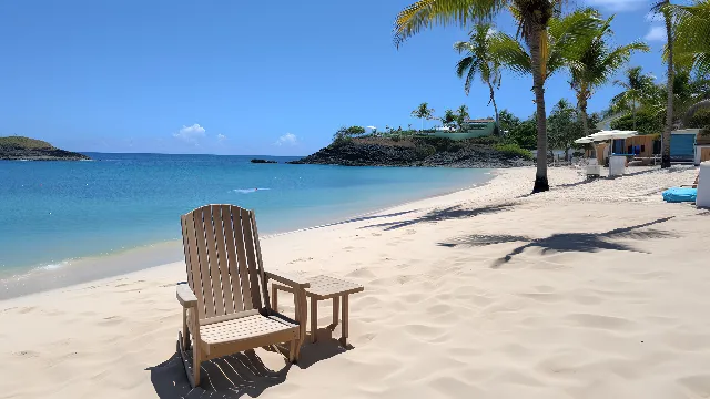 Water, Sky, Cloud, Tree, Azure, Plant, Beach, Outdoor furniture, Shade, Arecales, Coastal and oceanic landforms, Travel, Leisure, Woody plant, Landscape, Wood, Horizon, Summer, Shore, Sunlounger