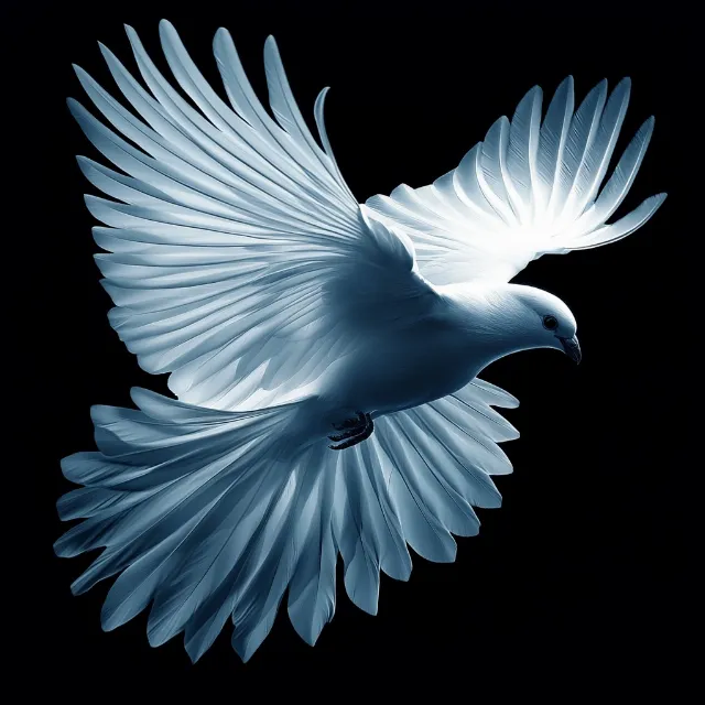 Bird, Vertebrate, Wing, Beak, Pigeons and doves, Feather, Flight, Peace, Tail