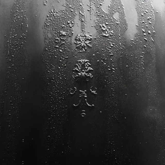 Photograph, White, Fluid, Monochrome photography, Moisture, Liquid, Black, Monochrome, Precipitation, Drop, Black and white, Drizzle, Grey, Silver, Dew, Rain, Still life photography