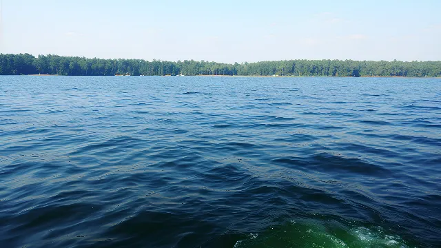 Water, Sky, Water resources, Liquid, Fluid, Natural landscape, Lake, Tree, Horizon, Waterway, Calm, Reservoir, Plant, Electric blue, Sound, Lake district, Loch, Wind wave, Ocean, Reflection