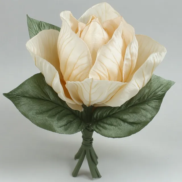 Petal, Artificial flower, Rose, Rose family, Magnolia family, Magnolia