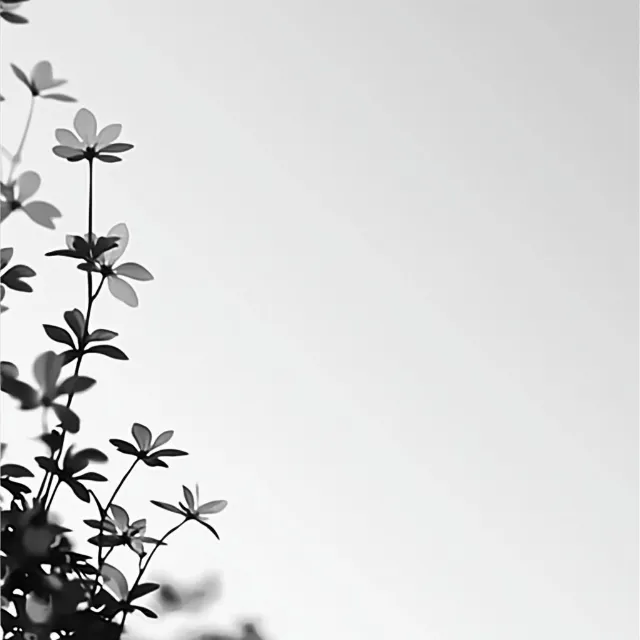 Branch, Monochrome photography, Twig, Monochrome, Black and white, Plant stem