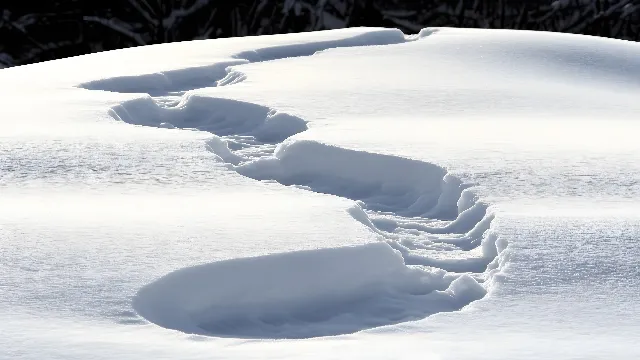 Snow, Winter, White, Freezing, geological phenomenon, Slope, Glacial landform, Ice cap, Ice, Precipitation, Arctic, Tundra, Frost