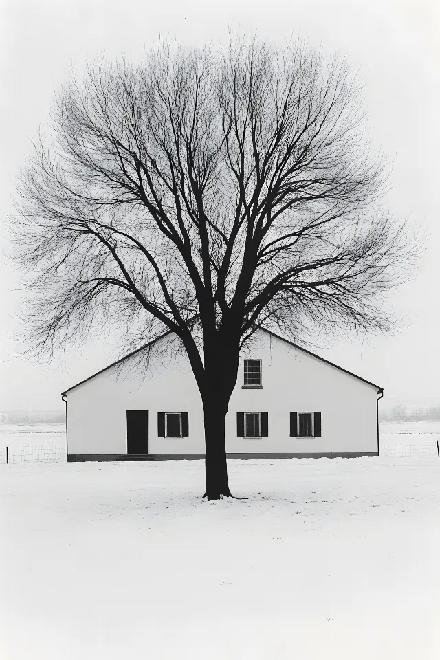 Photograph, Branch, Nature, White, Twig, Monochrome photography, Winter, Snow, Black and white, Trunk, Freezing, Monochrome, Slope, Woody plant, Shed, Cottage, Sugar shack, Precipitation, Barn, Farmhouse