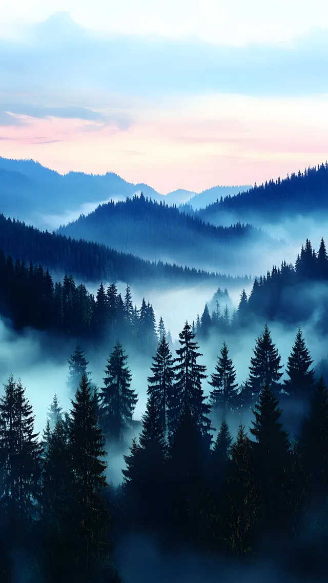 Mountainous landforms, atmospheric phenomenon, Mountain, Forest, Natural landscape, Hill, Hill station, Highland, Cloud, Wilderness, Spruce-fir forests, Mist, Mountain range, Larch, Fog, Tropical and subtropical coniferous forests, Jungle, Old-growth forest, Valley, Northern hardwood forest