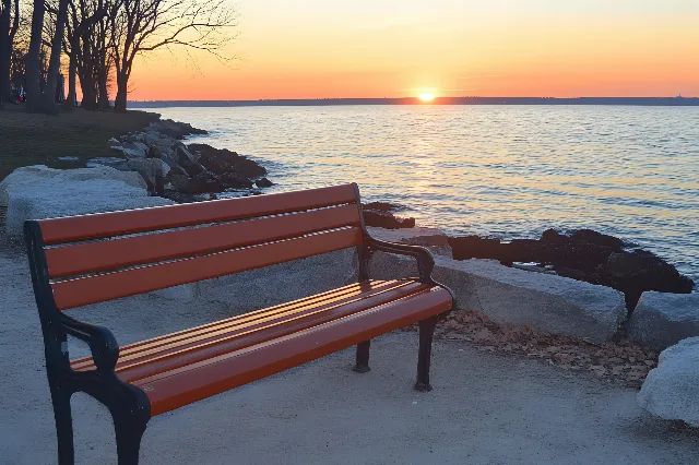 Outdoor Bench, Furniture, Bench, Outdoor furniture, Horizon, Orange, Sea, Coastal and oceanic landforms, Dusk, Street furniture, Sunlight, Lake, Morning, Evening, Ocean, Sunset, Shore, Afterglow, Coast, Sunrise