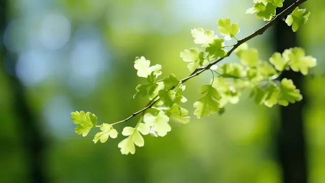 Branch, Twig, Plant, Terrestrial plant, Flower, Grass, Flowering plant, Natural landscape, Tree, Sky, People in nature, Plant stem, Macro photography, Annual plant