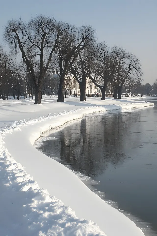 Branch, Snow, Winter, Twig, Freezing, Trunk, Ice, Frost, Precipitation, Reservoir, Melting, Shadow, Loch