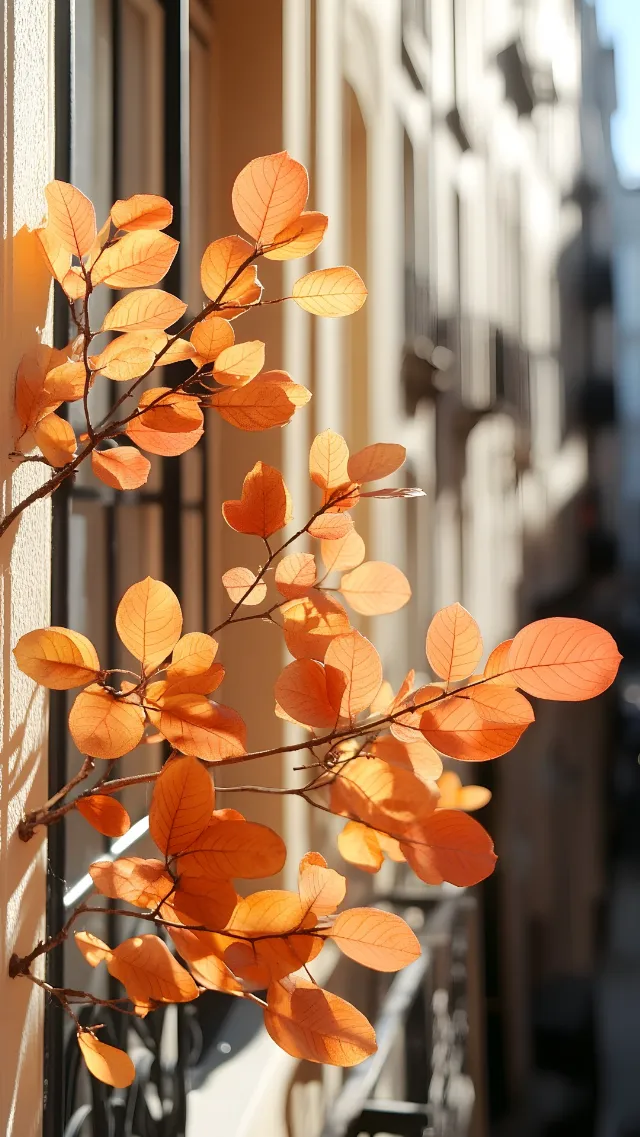 Brown, Plant, Amber, Leaf, Orange, Branch, Twig, Petal, Tree, Flower, Deciduous, Wood, Line, Flowering plant, Tints and shades, Glass, Terrestrial plant, Natural landscape, Peach, Plant stem