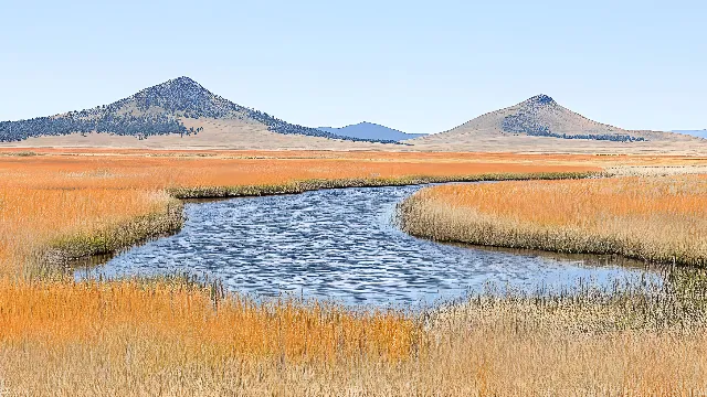 Marsh, Natural landscape, Wetland, Ecoregion, Landscape, Bank, Grassland, Plain, Freshwater marsh, Tidal marsh, Salt marsh, Steppe, Reflection, Prairie, Lacustrine plain, Lake, Fluvial landforms of streams, Fen, Bog, Meadow