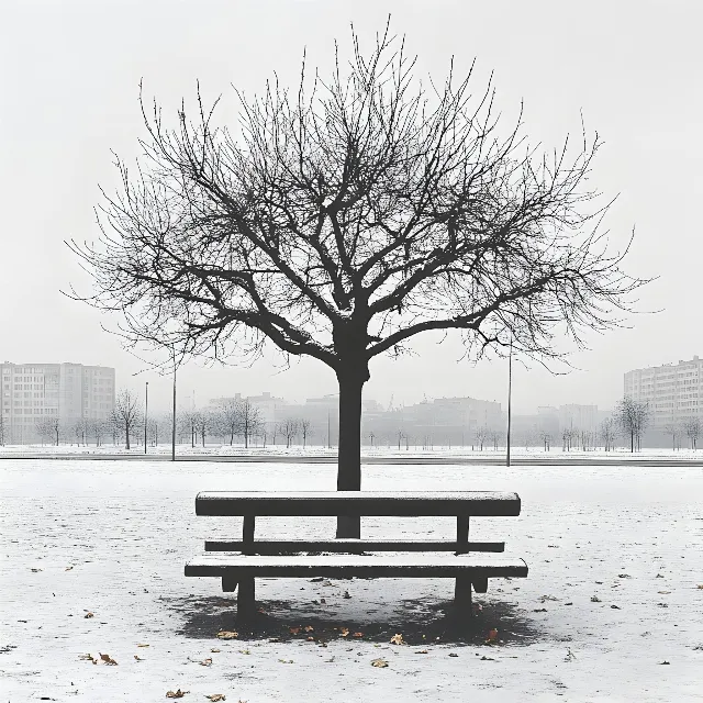 Outdoor Bench, Branch, Bench, Winter, Snow, Twig, Outdoor furniture, Furniture, Monochrome photography, Trunk, Freezing, Street furniture, Black and white, Monochrome, Grey, Precipitation, Winter storm, Ice