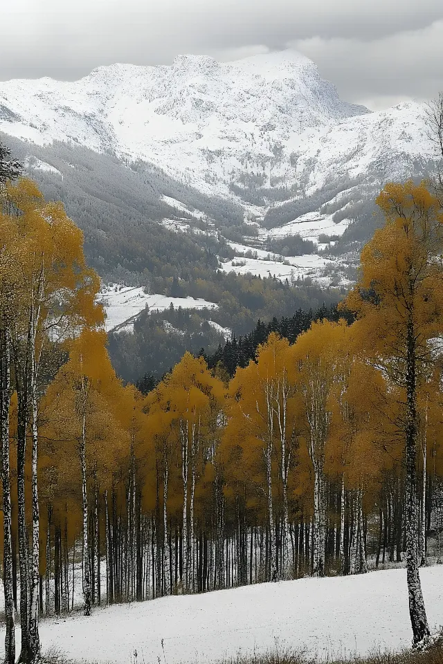 Mountainous landforms, Nature, Mountain, Branch, Natural landscape, Snow, Highland, Hill, Winter, Mountain range, Wilderness, Landscape, Glacial landform, Larch, Forest, Ridge, Hill station, Valley, Fell, Alps