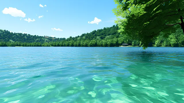 Water, Sky, Cloud, Water resources, Daytime, Azure, Natural landscape, Tree, Vegetation, Sunlight, Coastal and oceanic landforms, Landscape, Lake, Leisure, Horizon, Grass, Cumulus, Tropics, Caribbean, Wilderness