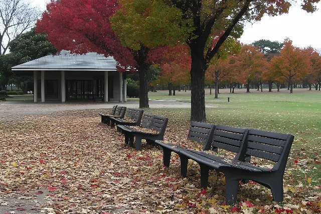 Public space, Outdoor Bench, Shade, Bench, Trunk, Street furniture, Outdoor furniture, Park, Landscaping, Shadow, Walkway, Outdoor Structure, Pavilion