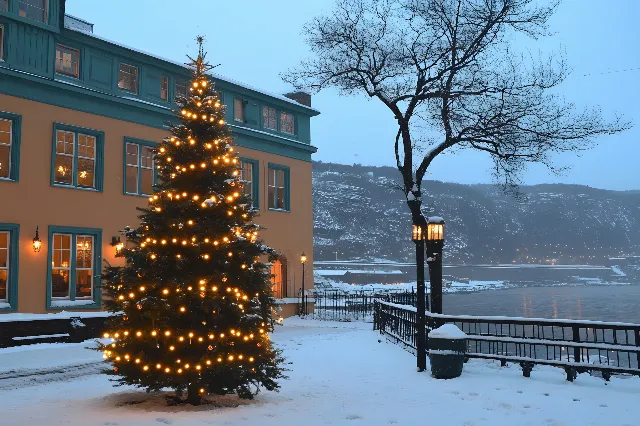 Winter, Freezing, Evening, Snow, Dusk, Conifers, Pine family, Loch, Fir, Pine, Christmas decoration, Resort town, Larch, Christmas tree