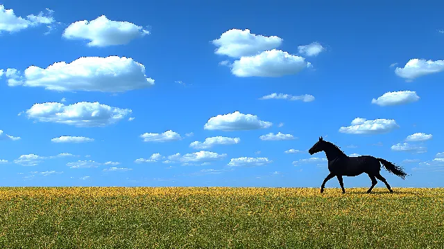 Cloud, Sky, Plant, People in nature, Natural landscape, Grass, Grassland, Plain, Agriculture, Cumulus, Landscape, Meadow, Happy, Horizon, Prairie, Terrestrial animal, Field, Pasture, Steppe, Working animal