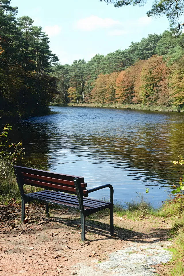 Water resources, Water, Body of water, Watercourse, Waterway, Natural landscape, Bank, Outdoor Bench, Reflection, Lake, Fluvial landforms of streams, River, Forest, Channel, Reservoir, Riparian zone, Lacustrine plain, Outdoor furniture, Pond, Loch