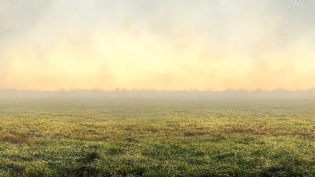 Natural environment, Grass, atmospheric phenomenon, Grassland, Ecoregion, Plain, Fog, Field, Prairie, Land lot, Mist, Meadow, Grasses, Steppe, Pasture, Savanna, Morning, Haze, Wind, Shrubland