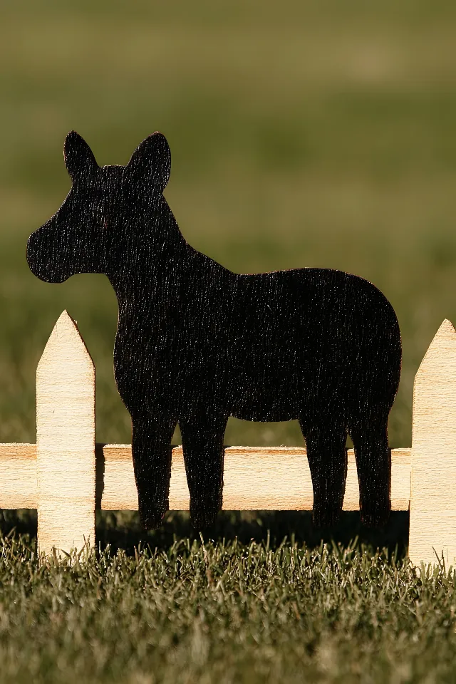 Dog, Animal Figure, Lawn, Canidae, Lawn ornament, Livestock, Tail