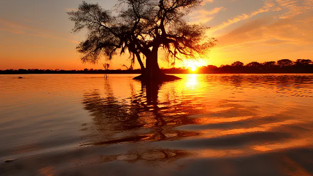 Water, Sky, Atmosphere, Cloud, Natural landscape, Afterglow, Amber, Branch, Orange, Dusk, Tree, Watercourse, Red sky at morning, Bank, Sun, Sunset, Sunrise, Lake, Landscape, Horizon