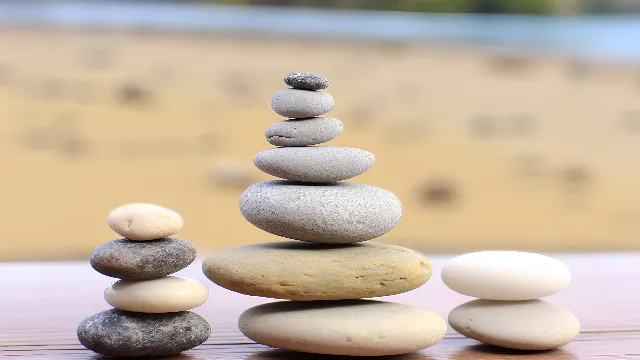 Wood, Tree, Landscape, Sand, Grass, Balance, Natural landscape, Art, Soil, Rock, Circle, Horizon, Bedrock, Pebble, Still life photography