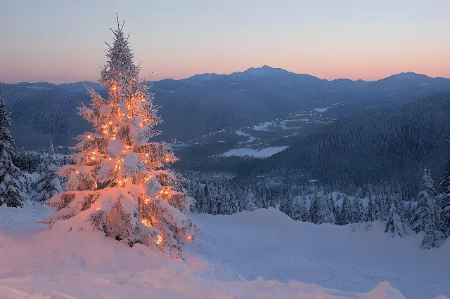 Winter, Mountainous landforms, Tree, Snow, Mountain, geological phenomenon, Hill station, Freezing, Mountain range, Spruce-fir forests, Larch, Forest, Frost, Slope, Christmas tree, Glacial landform, Alps, Conifers, Evergreen, Ridge