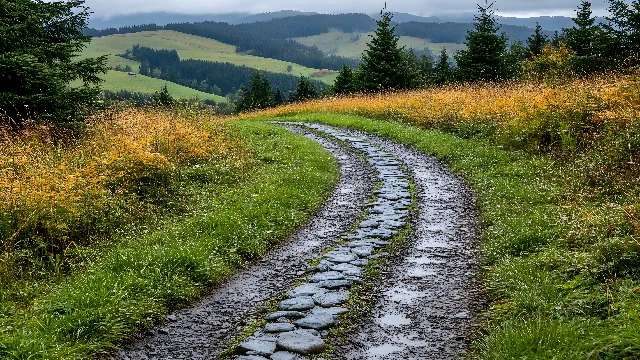 Plant, Natural landscape, Mountain, Tree, Larch, Sky, Cloud, Biome, Grass, People in nature, Thoroughfare, Landscape, Rural area, Groundcover, Grassland, Road surface, Road, Asphalt, Meadow, Grass family