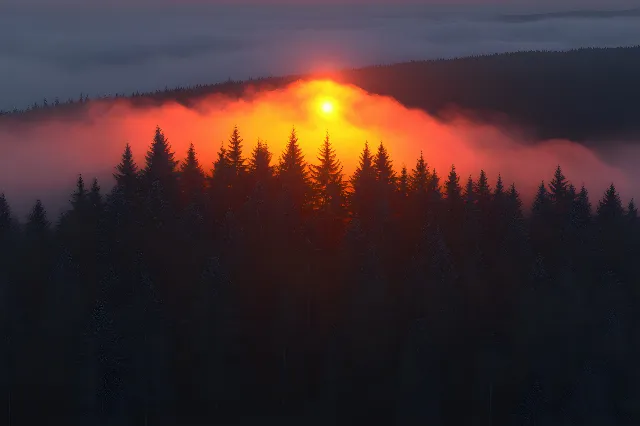 Nature, atmospheric phenomenon, Afterglow, Orange, Natural landscape, Sunrise, Sunset, Forest, Wilderness, Dusk, Ecoregion, Evening, Red sky at morning, Larch, Sunlight, Morning, Spruce-fir forests, Mist, Hill station, Dawn