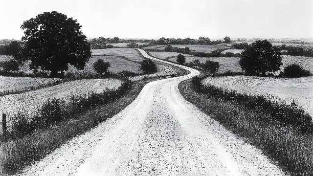 Natural landscape, Monochrome photography, Landscape, Rural area, Plain, Monochrome, Dirt road, Black and white, Field, Trail, Agriculture, Farm, Steppe, Plantation, Wind, Hinterland, Stock photography