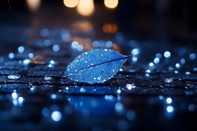 Moisture, Liquid, Dew, Reflection, Drop, Night, Macro photography, Silver, Precipitation