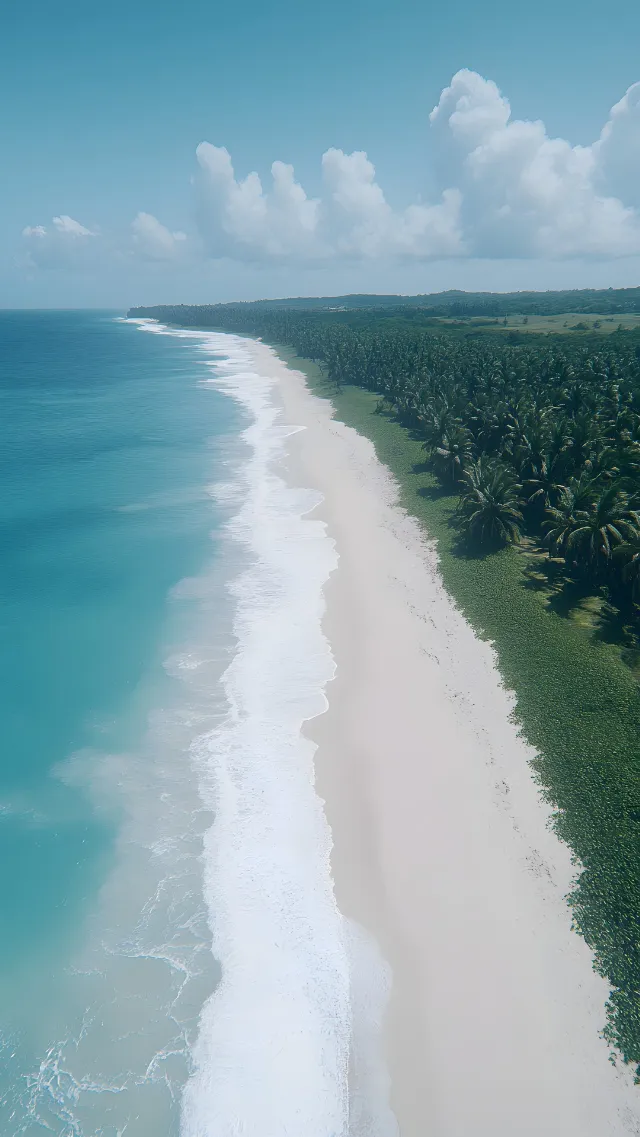 Water, Cloud, Sky, Water resources, Azure, Natural landscape, Coastal and oceanic landforms, Beach, Tree, Watercourse, Terrain, Horizon, Landscape, Plant, Wind wave, Sand, Foam, Shore, Calm, Cumulus