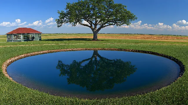 Sky, Water, Water resources, Plant, Natural landscape, Azure, Natural environment, Tree, Cloud, Grass, Land lot, Vegetation, Body of water, Landscape, Shade, Grassland, Lake, Summer, Real estate, Plain