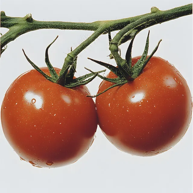 Tomato, Bush tomato, Cherry tomato, Plum tomato, Fruit, Natural foods, Produce, Food, Nightshade, Vegetable, Nightshade, Superfood, Still life photography, Staple food