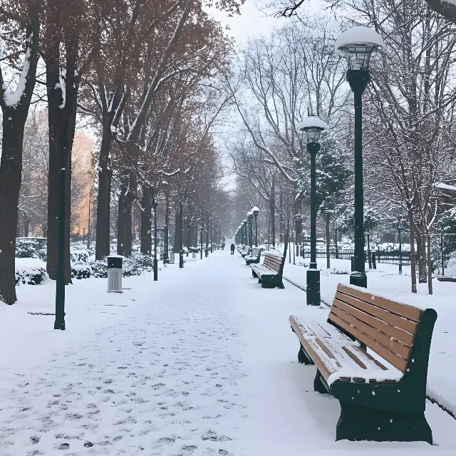 Snow, Winter, Branch, Outdoor Bench, Twig, Freezing, Bench, Trunk, Precipitation, Frost, Winter storm, Street light, Ice, Outdoor furniture, Blizzard