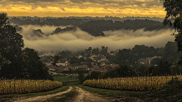 atmospheric phenomenon, Natural landscape, Mist, Hill, Landscape, Rural area, Human settlement, Evening, Sunlight, Morning, Haze, Field, Fog, Plantation, Village, Hill station, Agriculture, Sunrise, Farm, Meadow