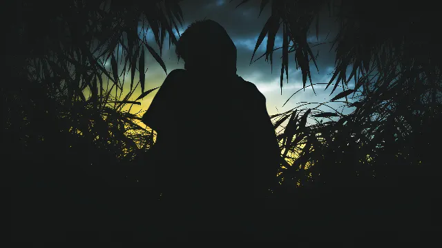 Atmosphere, Plant, Sky, Cloud, Flash photography, Branch, Twig, Dusk, Terrestrial plant, Arecales, Grass, People in nature, Midnight, Tints and shades, Grass family, Astronomical object, Darkness, Backlighting, Horizon, Landscape