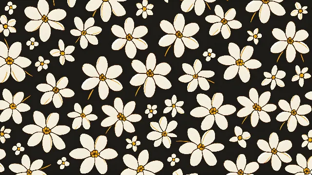 Flower, Plant, White, Petal, Light, Nature, Black, Botany, Yellow, Flooring, Flowering plant, Groundcover, Pattern, Annual plant, Daisy family, Wildflower, Spring, camomile