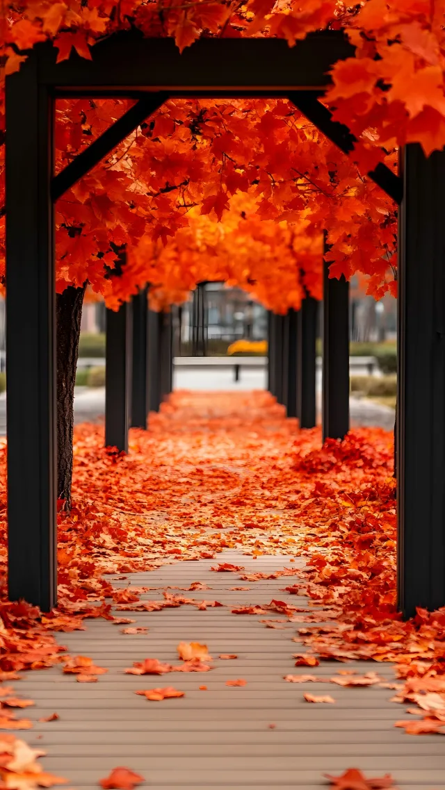 Plant, Light, Botany, Leaf, Natural landscape, Tree, Natural environment, Branch, Orange, Amber, Lighting, Vegetation, Architecture, Sunlight, Water, Biome, Line, Deciduous, Woody plant, Red