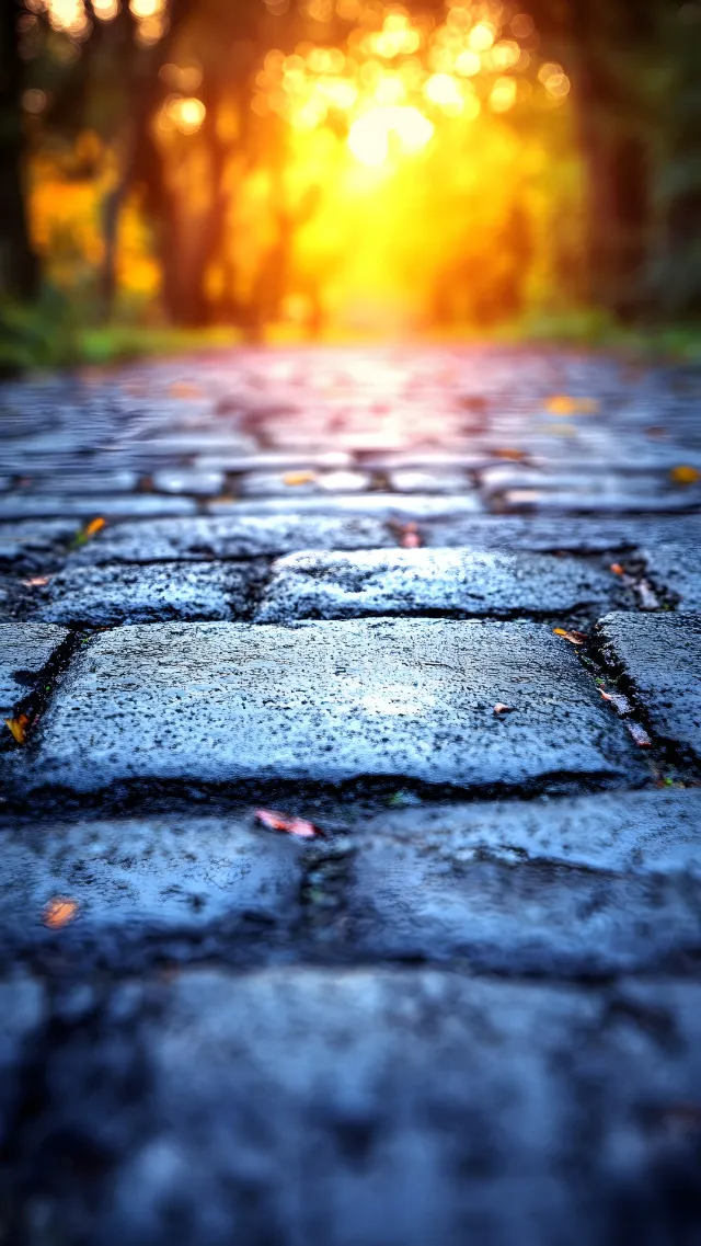 Cobblestone, Orange, Sunlight, Walkway, Autumn, Evening, Heat, Shadow, Flagstone