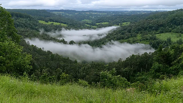 Mountainous landforms, Vegetation, Natural landscape, Hill, Highland, Forest, Hill station, atmospheric phenomenon, Wilderness, Jungle, Valley, Nature reserve, Rainforest, Tropical and subtropical coniferous forests, Old-growth forest, Temperate broadleaf and mixed forest, Valdivian temperate rain forest, Fog, Northern hardwood forest, Mist