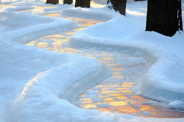 Snow, Winter, Freezing, Sunlight, Frost, Precipitation, Ice, Woodland, Shadow, Path, Trail