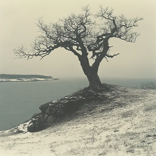 Branch, Monochrome photography, Trunk, Sea, atmospheric phenomenon, Black and white, Twig, Monochrome, Woody plant, Ocean, Wind, Coast, Lake District