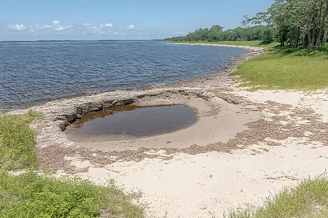 Ecoregion, Bank, Coast, Shore, Wetland, Beach, Sand, Mudflat, Bay, Shoal, Tidal marsh, Bog, Mud, Raised beach, Lacustrine plain, Floodplain