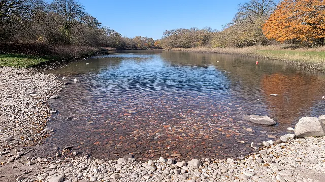 Water, Plant, Water resources, Sky, Natural landscape, Natural environment, Fluvial landforms of streams, Tree, Lake, Vegetation, Watercourse, Lacustrine plain, Body of water, Bank, Landscape, Riparian zone, Waterway, Deciduous, Forest, Stream