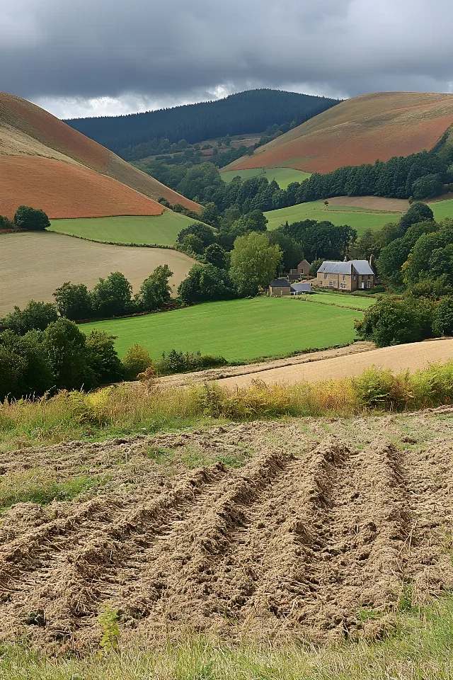 Grass, Hill, Natural landscape, Grassland, Highland, Plain, Field, Rural area, Land lot, Grasses, Agriculture, Pasture, Plantation, Steppe, Fell, Hill station, Valley, Meadow, Prairie, Farm