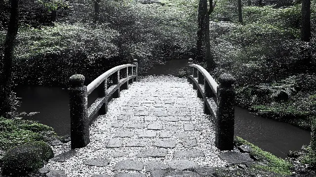 Bridge, Monochrome photography, Forest, Monochrome, List of nonbuilding structure types, Stream, Walkway, Trail, Arch bridge, Woodland, Fence, Jungle, Split-rail fence, Creek, Old-growth forest, Humpback bridge, Cobblestone, Riparian zone, Rainforest, Handrail