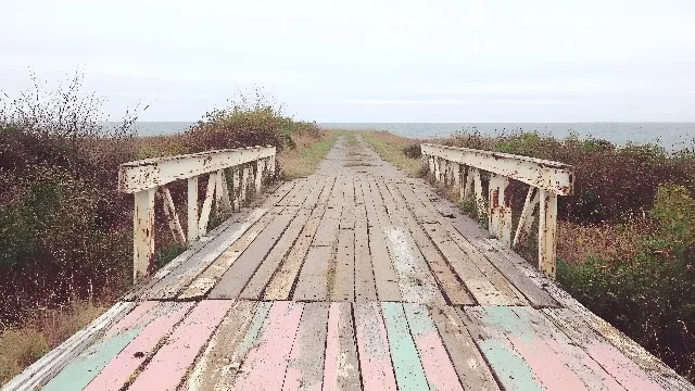 Sky, Plant, Cloud, Natural landscape, Wood, Body of water, Dock, Thoroughfare, Grass, Landscape, Bridge, Horizon, Road, Lumber, Trail, Plank, Boardwalk, Track, Hardwood, Walkway